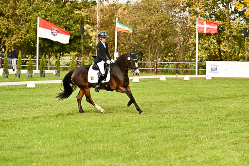 9-12.10.2025 Ströhen | Greta Marie Löhr - Rathcline Dream_15 