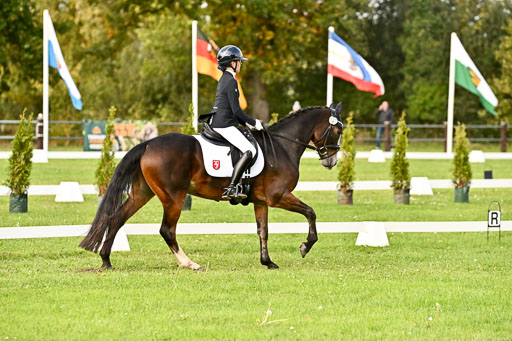 9-12.10.2025 Ströhen | Greta Marie Löhr - Rathcline Dream_16 