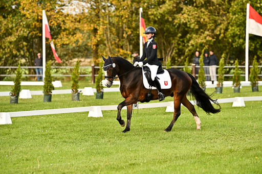 9-12.10.2025 Ströhen | Greta Marie Löhr - Rathcline Dream_19 