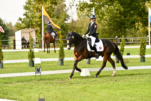 9-12.10.2025 Ströhen | Greta Marie Löhr - Rathcline Dream_21 