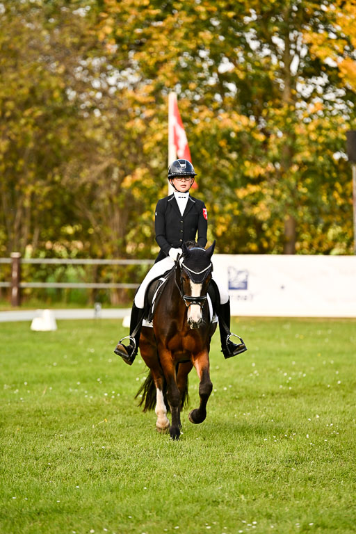 9-12.10.2025 Ströhen | Greta Marie Löhr - Rathcline Dream_23 