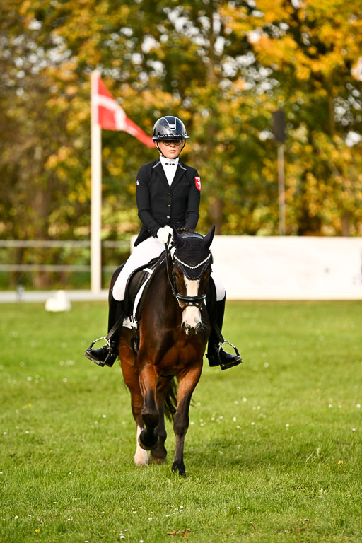 9-12.10.2025 Ströhen | Greta Marie Löhr - Rathcline Dream_24 