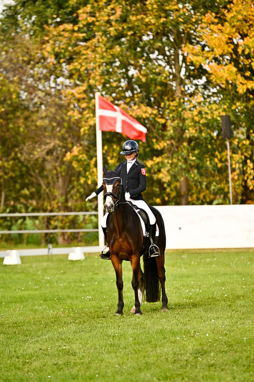 9-12.10.2025 Ströhen | Greta Marie Löhr - Rathcline Dream_26 