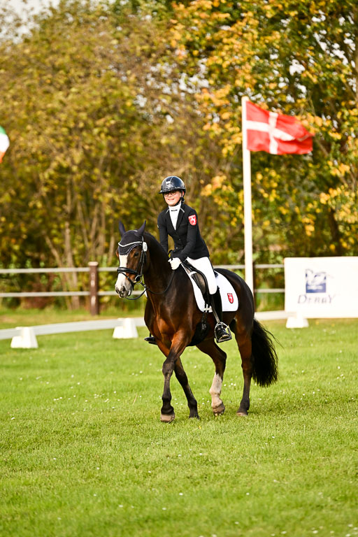 9-12.10.2025 Ströhen | Greta Marie Löhr - Rathcline Dream_27 