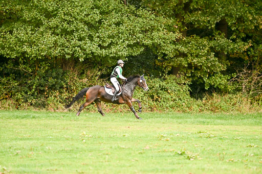 9-12.10.2025 Ströhen | Greta Marie Löhr - Rathcline Dream_31 