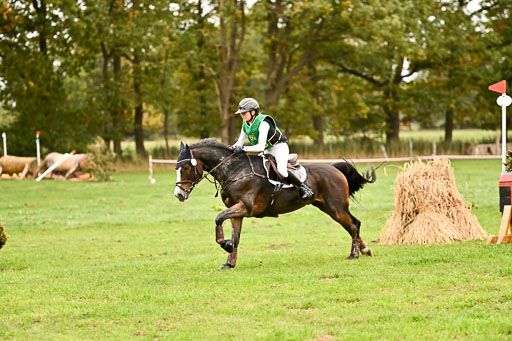 9-12.10.2025 Ströhen | Greta Marie Löhr - Rathcline Dream_43 