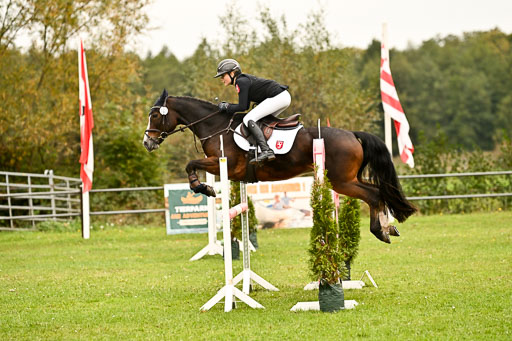 9-12.10.2025 Ströhen | Greta Marie Löhr - Rathcline Dream_58 