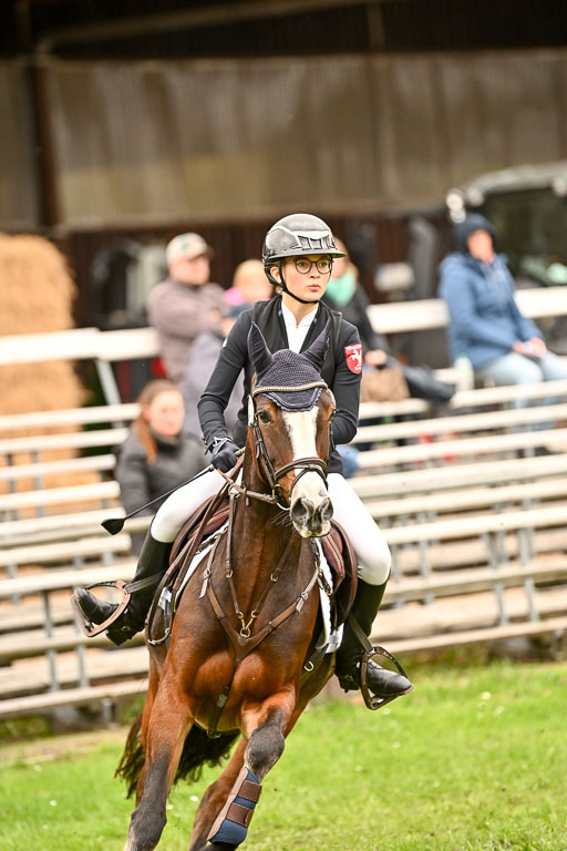 9-12.10.2025 Ströhen | Greta Marie Löhr - Rathcline Dream_60 