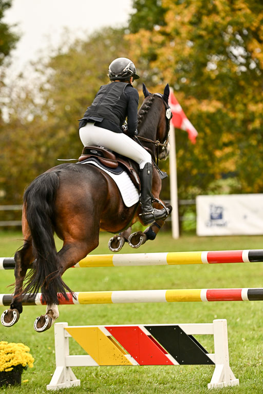 9-12.10.2025 Ströhen | Greta Marie Löhr - Rathcline Dream_61 