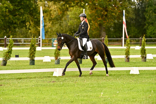 9-12.10.2025 Ströhen | Hausser-Knabe, max - Gwendolyn _03 