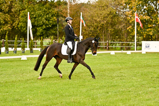 9-12.10.2025 Ströhen | Hausser-Knabe, max - Gwendolyn _04 