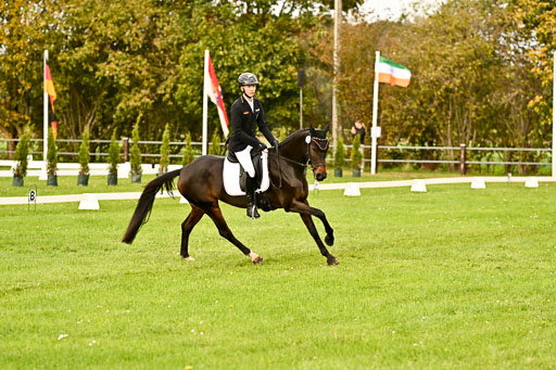 9-12.10.2025 Ströhen | Hausser-Knabe, max - Gwendolyn _05 