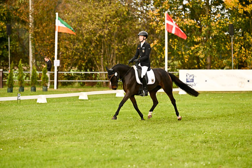 9-12.10.2025 Ströhen | Hausser-Knabe, max - Gwendolyn _07 