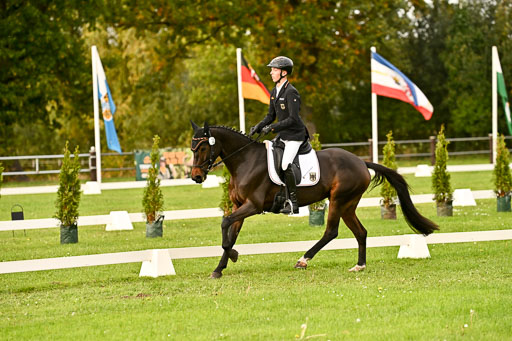 9-12.10.2025 Ströhen | Hausser-Knabe, max - Gwendolyn _09 