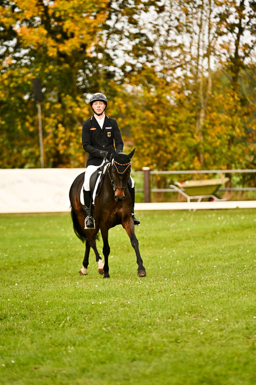 9-12.10.2025 Ströhen | Hausser-Knabe, max - Gwendolyn _10 