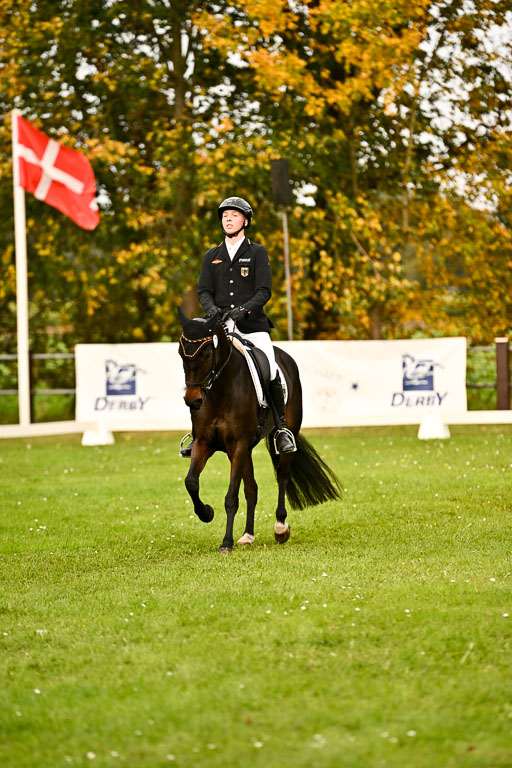 9-12.10.2025 Ströhen | Hausser-Knabe, max - Gwendolyn _12 