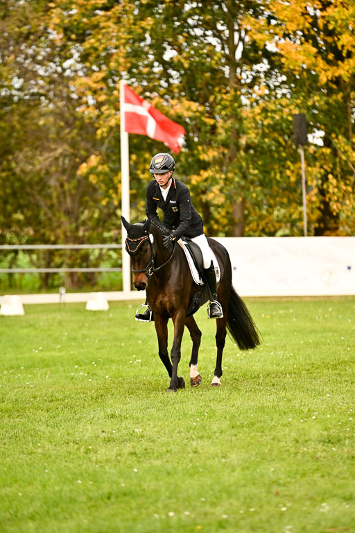 9-12.10.2025 Ströhen | Hausser-Knabe, max - Gwendolyn _14 