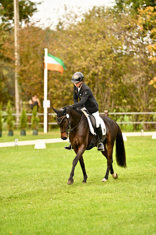 9-12.10.2025 Ströhen | Hausser-Knabe, max - Gwendolyn _15 