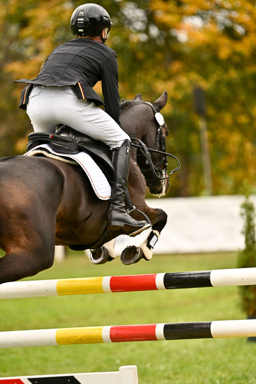 9-12.10.2025 Ströhen | Hausser-Knabe, max - Gwendolyn _36 