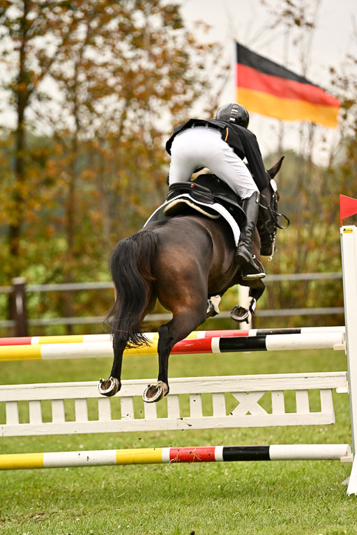 9-12.10.2025 Ströhen | Hausser-Knabe, max - Gwendolyn _37 