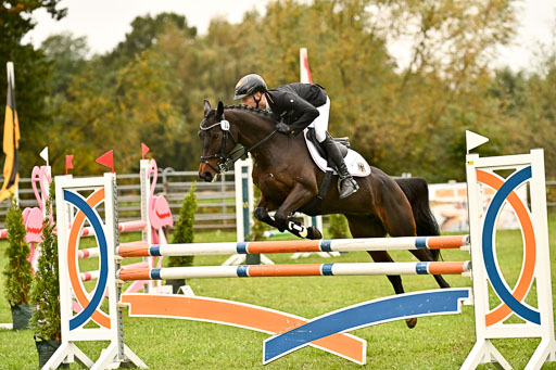 9-12.10.2025 Ströhen | Hausser-Knabe, max - Gwendolyn _40 