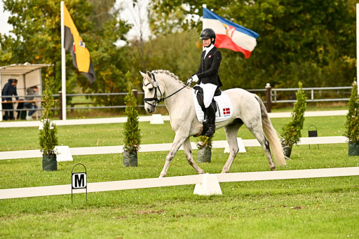 9-12.10.2025 Ströhen | Horby Schow, Clara - Hesteklewa 