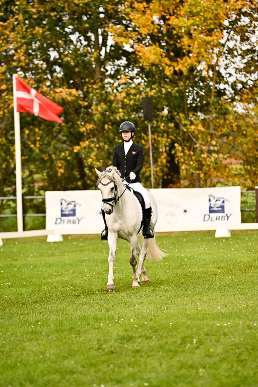 9-12.10.2025 Ströhen | Horby Schow, Clara - Hesteklewa_01 