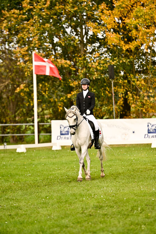 9-12.10.2025 Ströhen | Horby Schow, Clara - Hesteklewa_02 