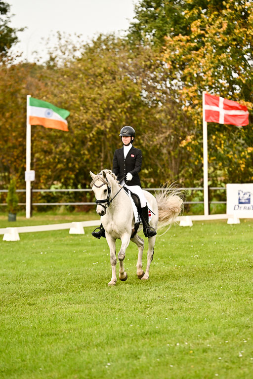 9-12.10.2025 Ströhen | Horby Schow, Clara - Hesteklewa_03 