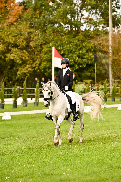 9-12.10.2025 Ströhen | Horby Schow, Clara - Hesteklewa_05 