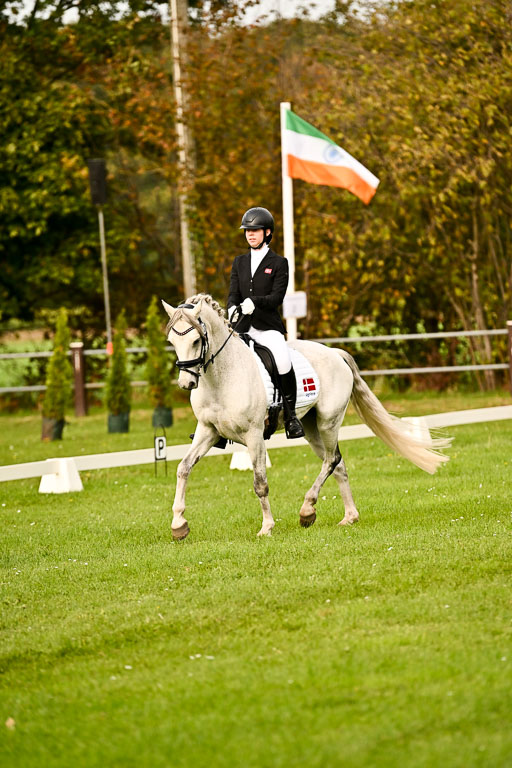 9-12.10.2025 Ströhen | Horby Schow, Clara - Hesteklewa_08 