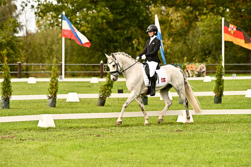 9-12.10.2025 Ströhen | Horby Schow, Clara - Hesteklewa_10 