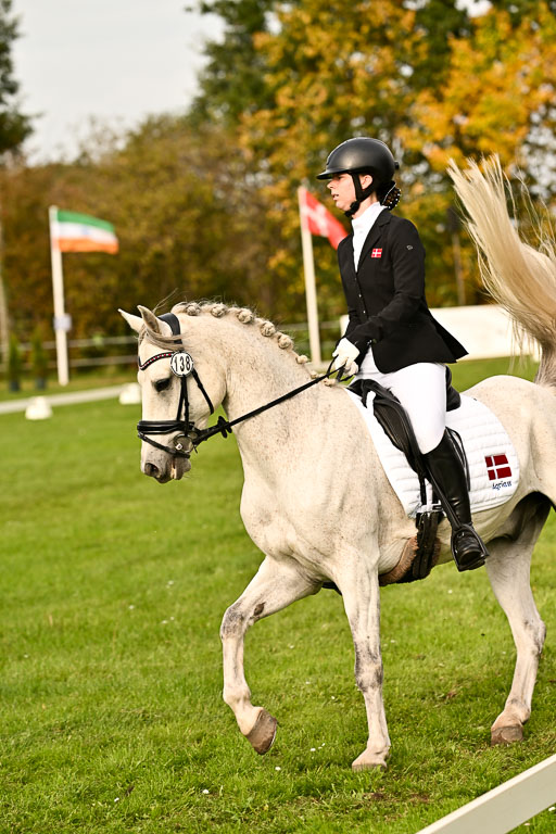 9-12.10.2025 Ströhen | Horby Schow, Clara - Hesteklewa_11 