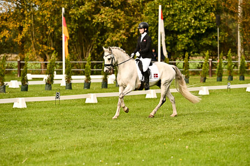 9-12.10.2025 Ströhen | Horby Schow, Clara - Hesteklewa_14 