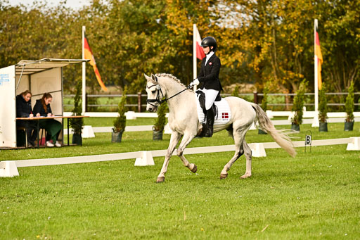 9-12.10.2025 Ströhen | Horby Schow, Clara - Hesteklewa_15 