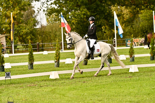 9-12.10.2025 Ströhen | Horby Schow, Clara - Hesteklewa_16 