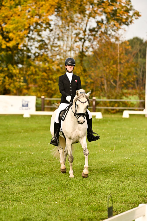 9-12.10.2025 Ströhen | Horby Schow, Clara - Hesteklewa_18 