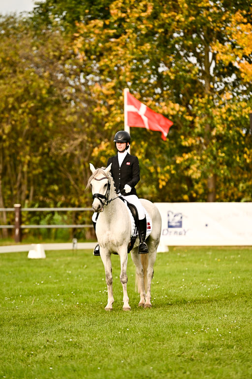 9-12.10.2025 Ströhen | Horby Schow, Clara - Hesteklewa_20 