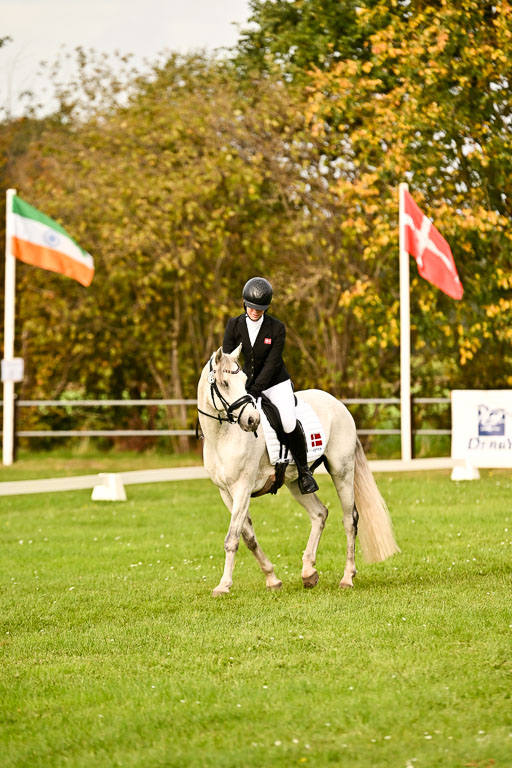 9-12.10.2025 Ströhen | Horby Schow, Clara - Hesteklewa_21 