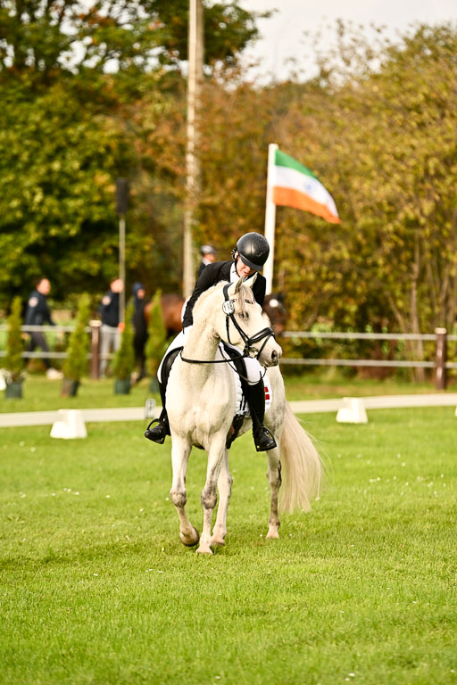 9-12.10.2025 Ströhen | Horby Schow, Clara - Hesteklewa_22 