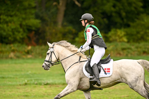 9-12.10.2025 Ströhen | Horby Schow, Clara - Hesteklewa_33 