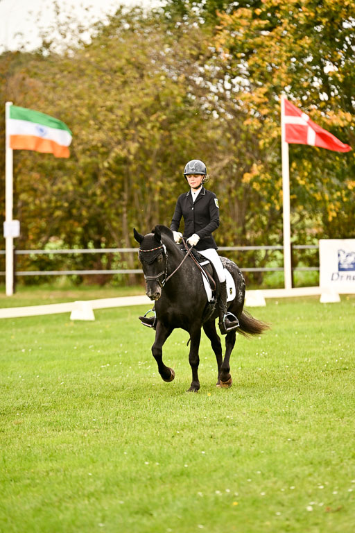 9-12.10.2025 Ströhen | Johanna Martha Liebergeld - Luis_03 
