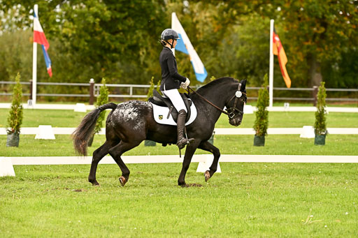 9-12.10.2025 Ströhen | Johanna Martha Liebergeld - Luis_06 