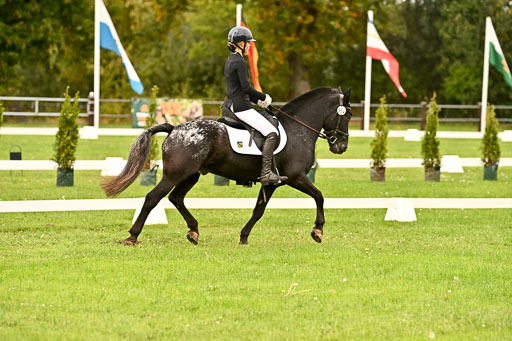 9-12.10.2025 Ströhen | Johanna Martha Liebergeld - Luis_07 
