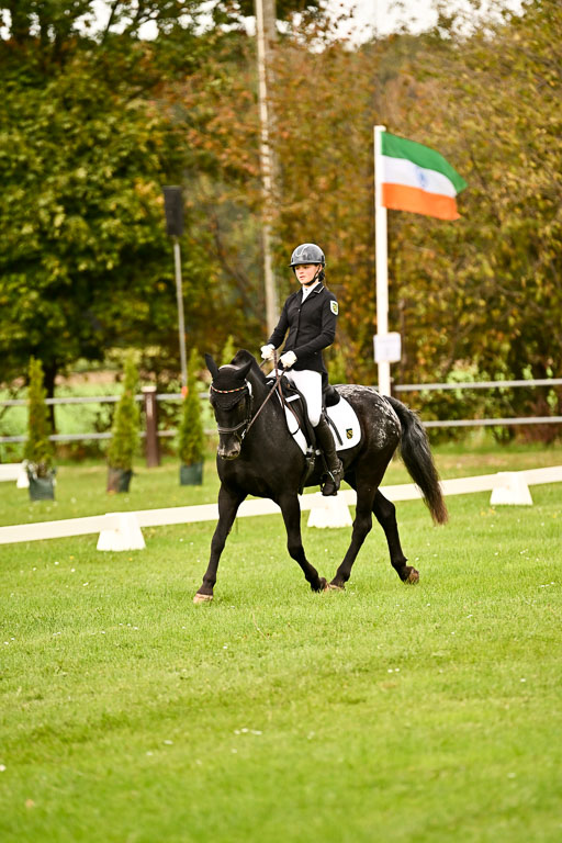 9-12.10.2025 Ströhen | Johanna Martha Liebergeld - Luis_08 
