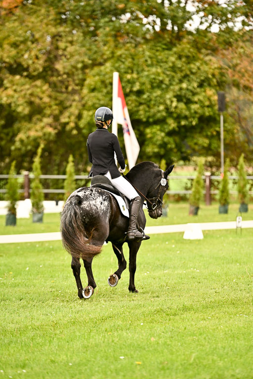 9-12.10.2025 Ströhen | Johanna Martha Liebergeld - Luis_13 