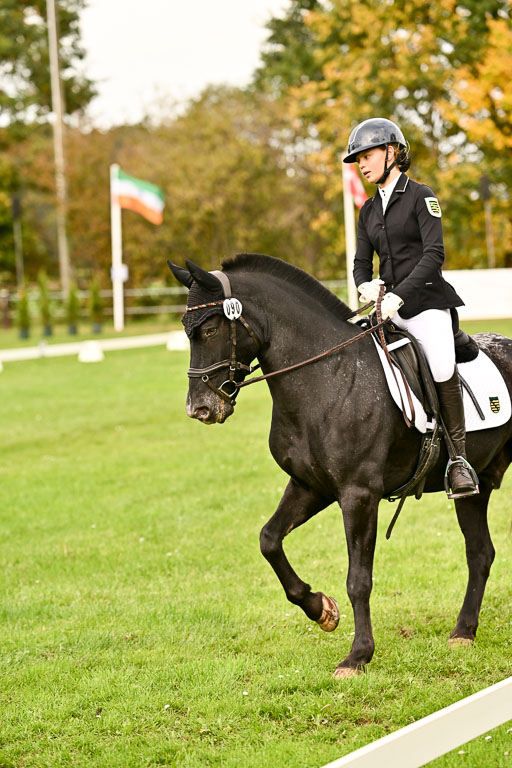 9-12.10.2025 Ströhen | Johanna Martha Liebergeld - Luis_14 