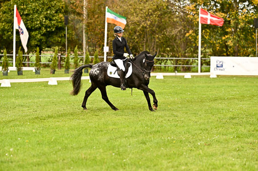 9-12.10.2025 Ströhen | Johanna Martha Liebergeld - Luis_15 