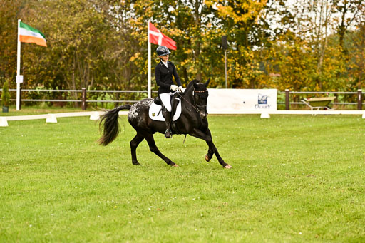 9-12.10.2025 Ströhen | Johanna Martha Liebergeld - Luis_16 
