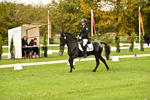 9-12.10.2025 Ströhen | Johanna Martha Liebergeld - Luis_18 
